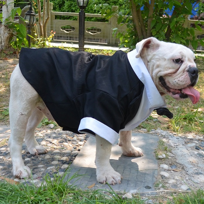  Lovelonglong Bulldog Costume Dog Suit Formal Tuxedo