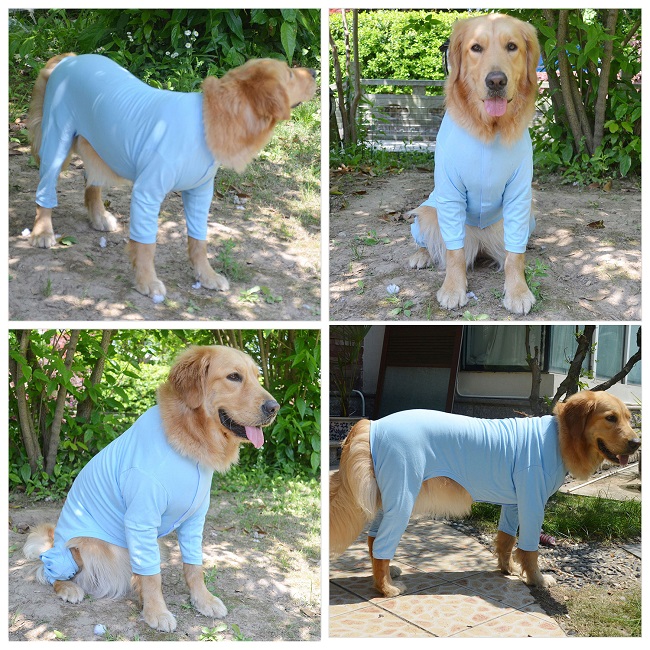 Blank Pajamas for Dogs