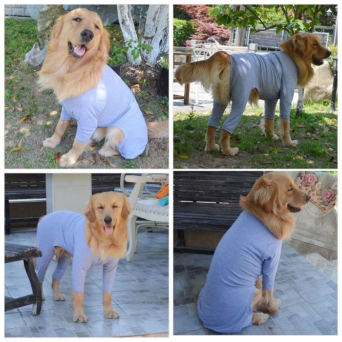 Blank Pajamas for Dogs