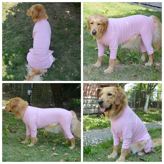 Blank Pajamas for Dogs
