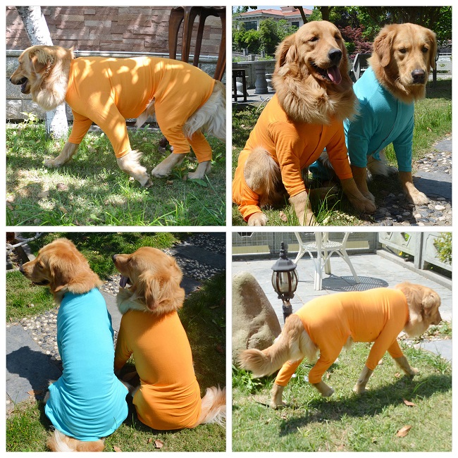 Blank Pajamas for Dogs