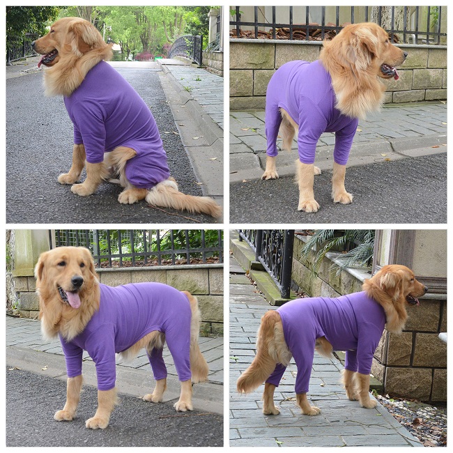 Blank Pajamas for Dogs