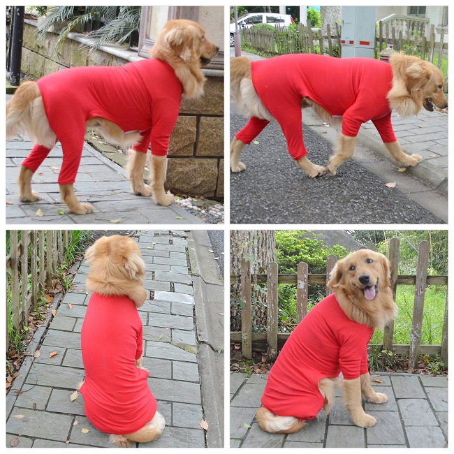 Blank Pajamas for Dogs