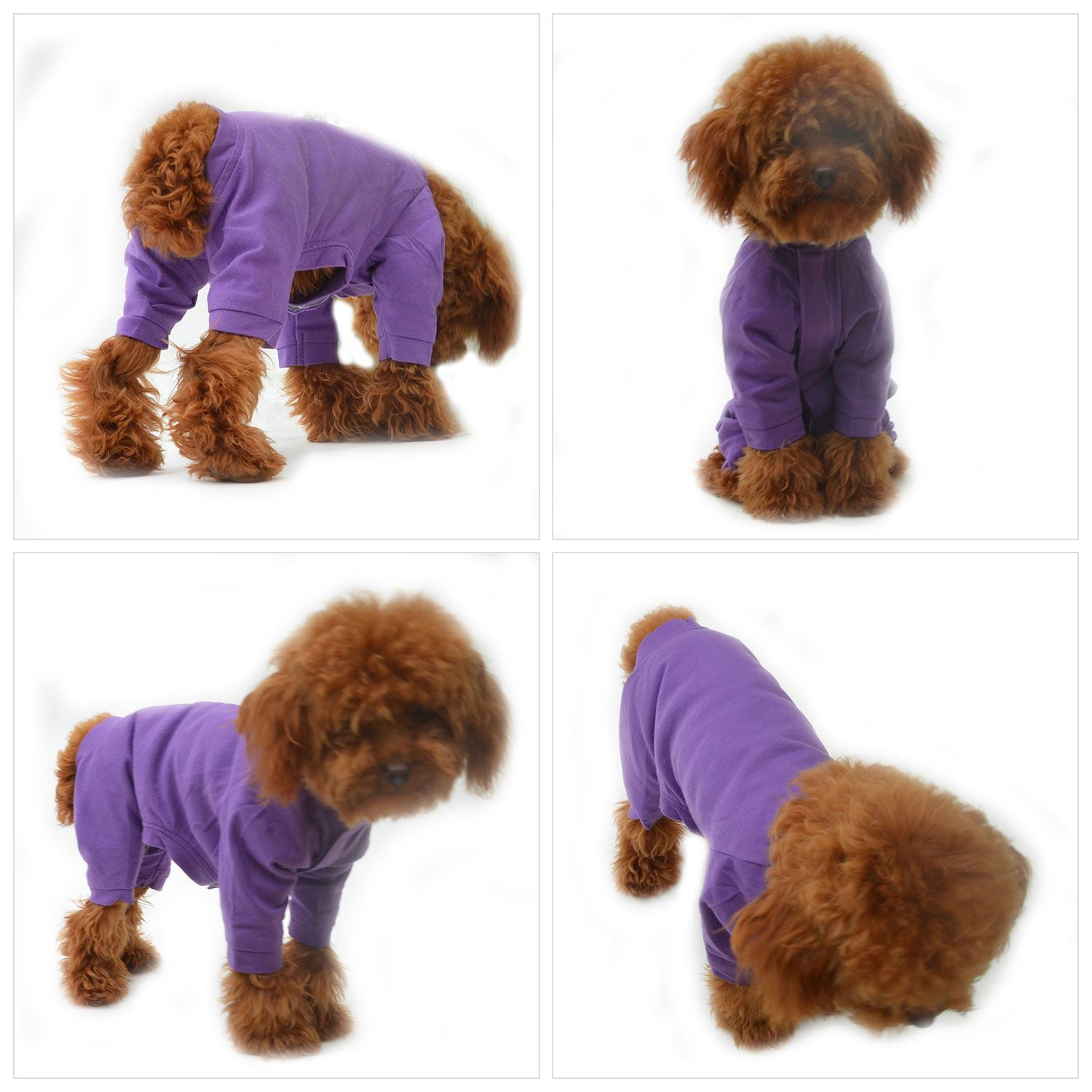 Blank Pajamas for Dogs