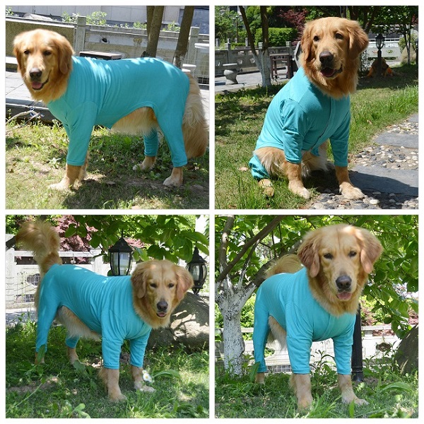 Blank Pajamas for Dogs