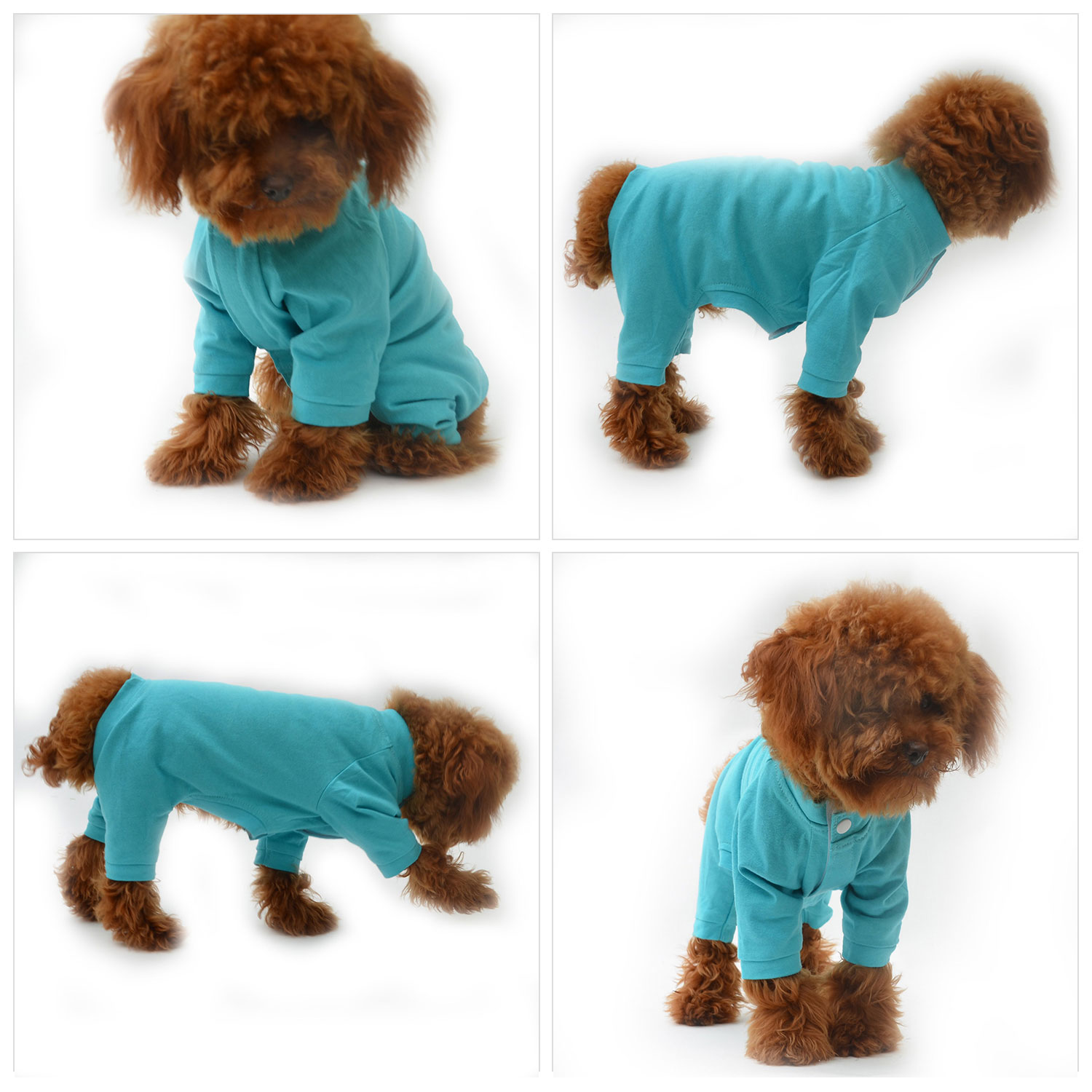 Blank Pajamas for Dogs