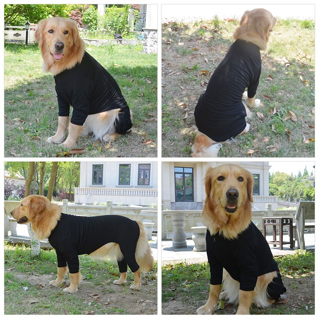 Blank Pajamas for Dogs