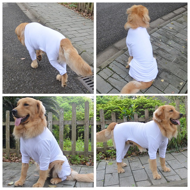 Blank Pajamas for Dogs