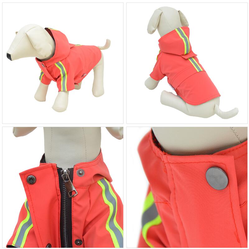 2019 New Dog Raincoat