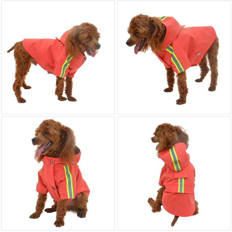 2019 New Dog Raincoat