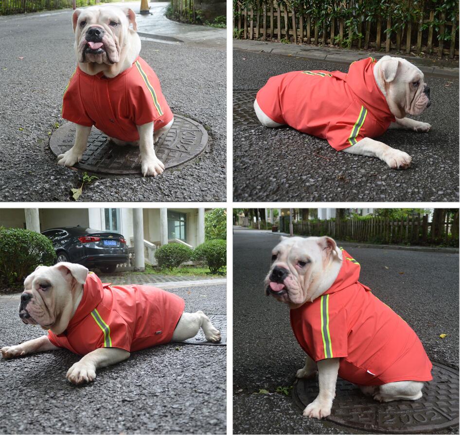 2019 New Dog Raincoat