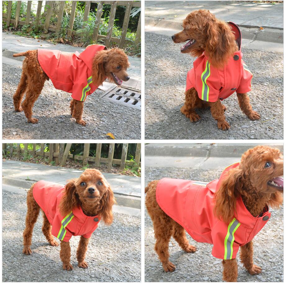 2019 New Dog Raincoat