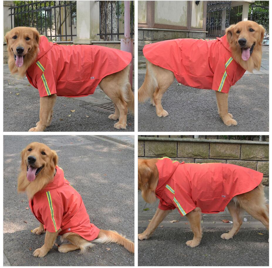 2019 New Dog Raincoat