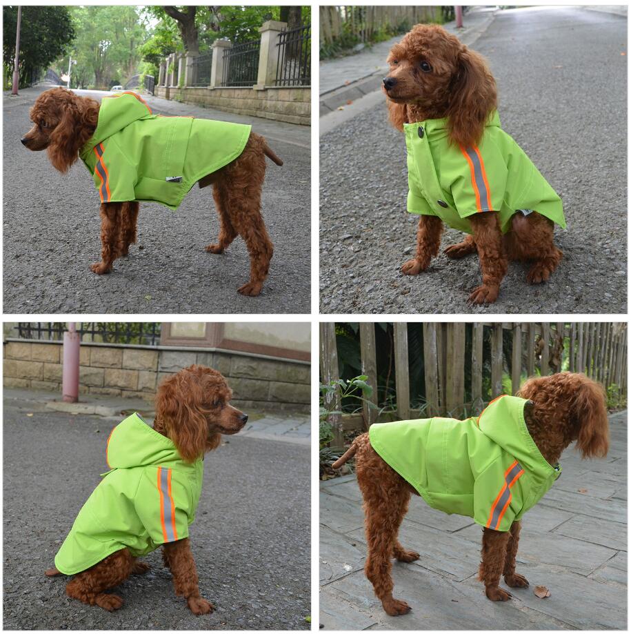 2019 New Dog Raincoat