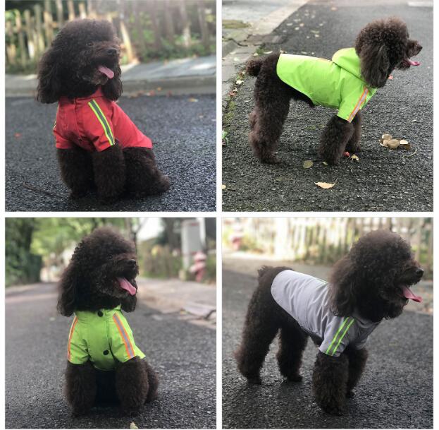 2019 New Dog Raincoat