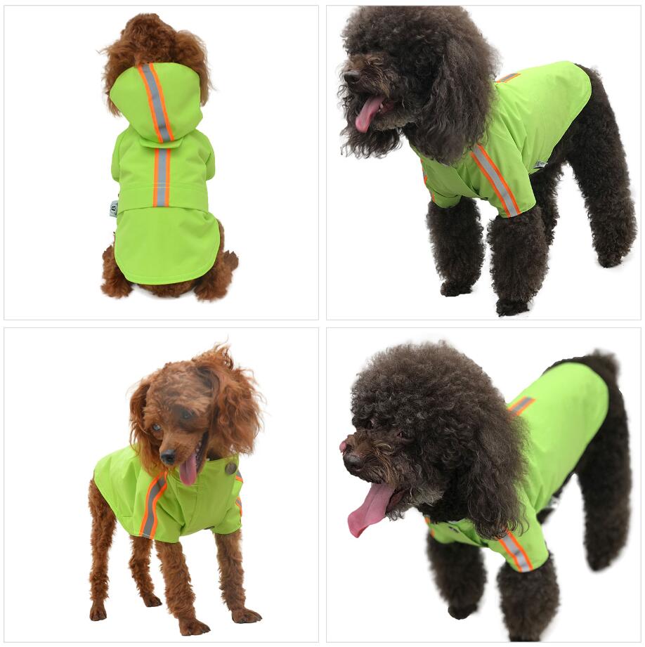 2019 New Dog Raincoat