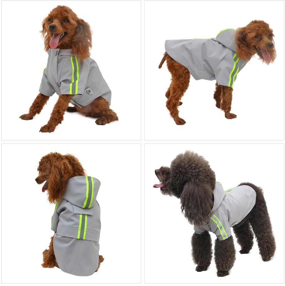2019 New Dog Raincoat