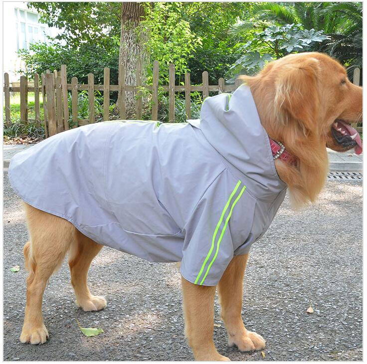2019 New Dog Raincoat