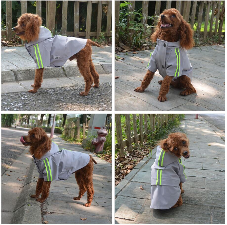 2019 New Dog Raincoat