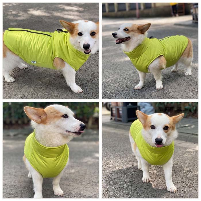 Dog Winter Vest with Cotton Lining