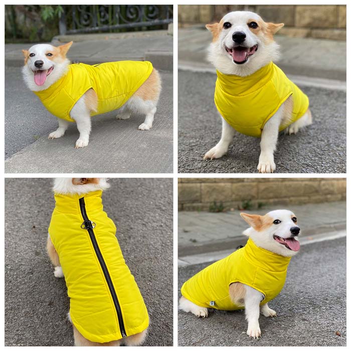 Dog Winter Vest with Cotton Lining