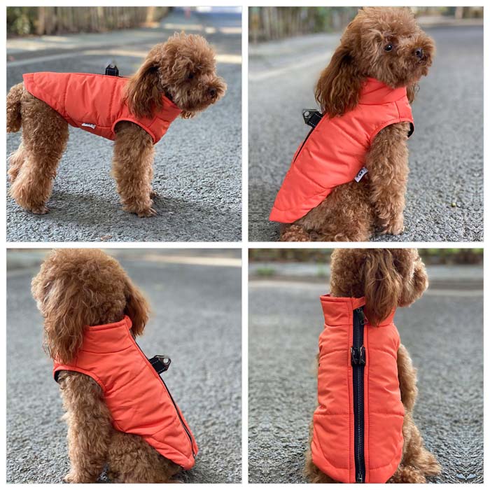 Dog Winter Vest with Cotton Lining