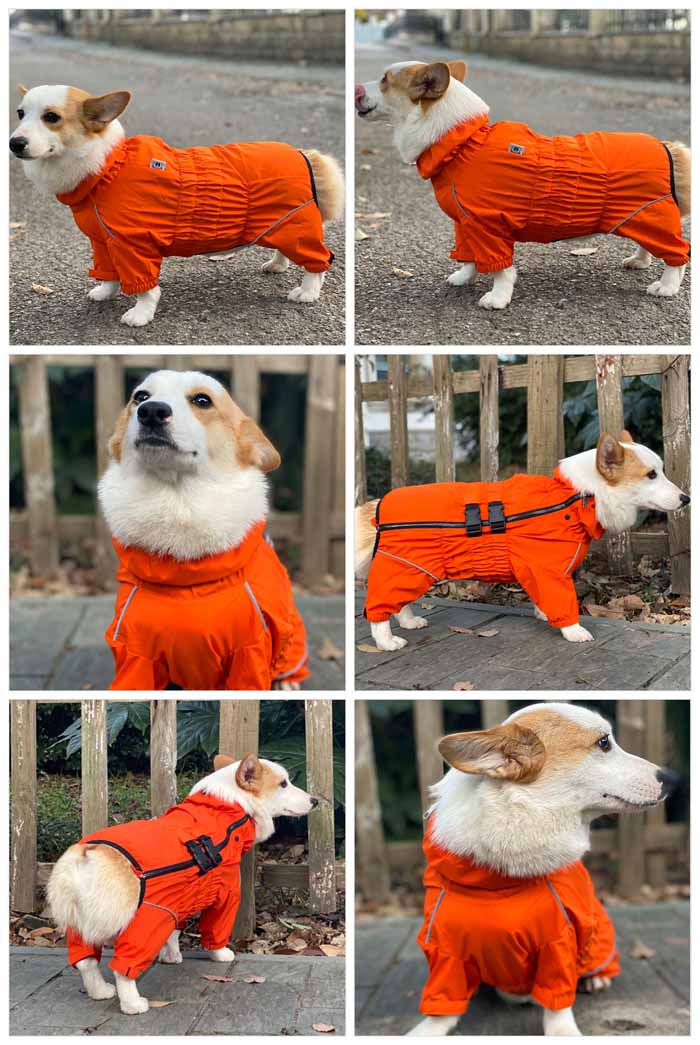 Dogs Waterproof Jacket