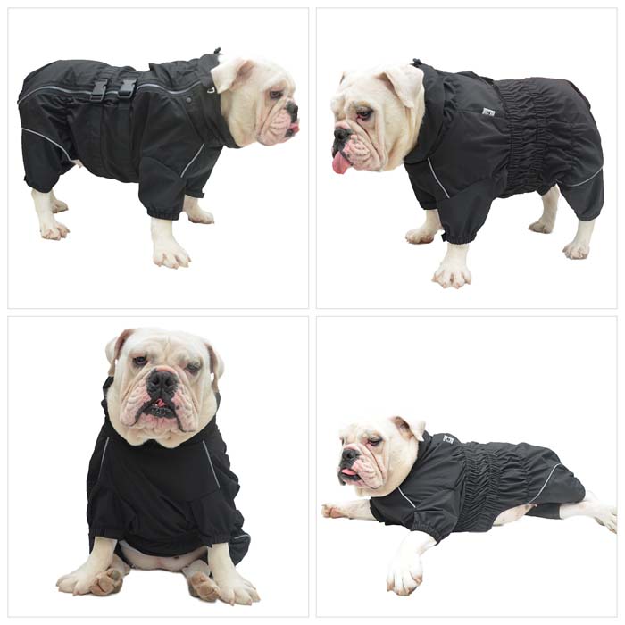 Dogs Waterproof Jacket