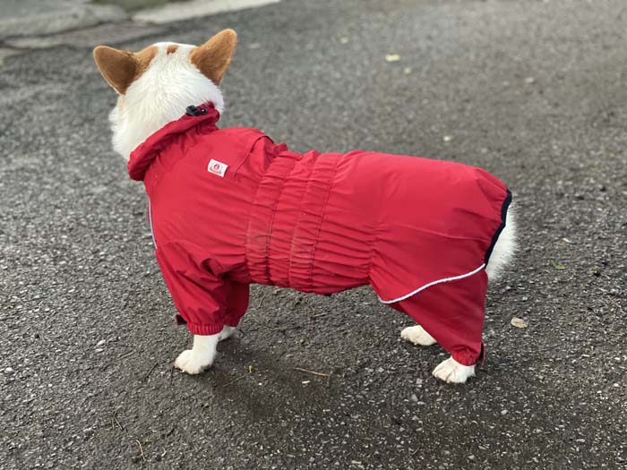 Dogs Waterproof Jacket