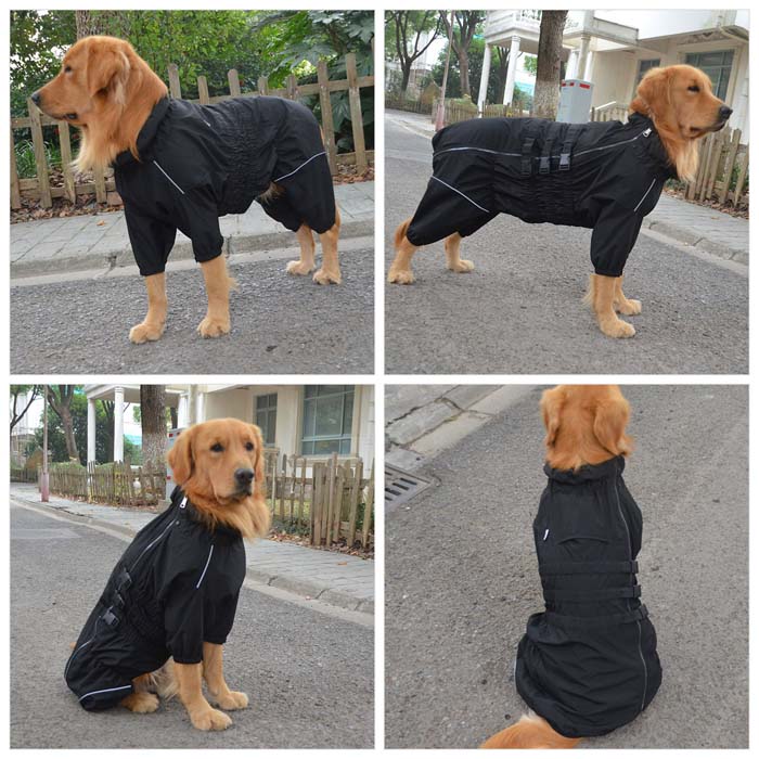 Dogs Waterproof Jacket
