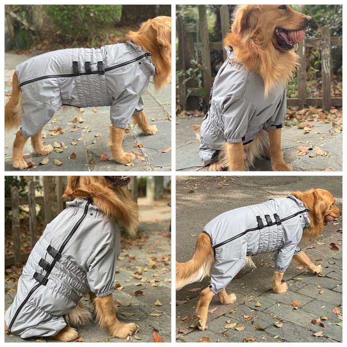 Dogs Waterproof Jacket