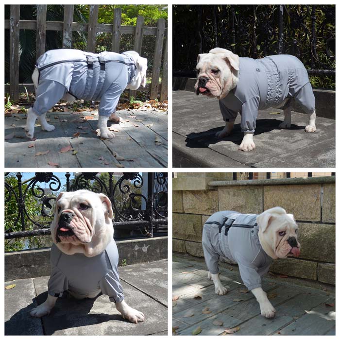Dogs Waterproof Jacket