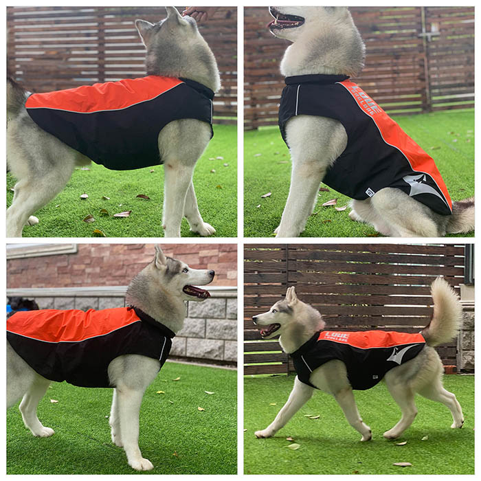 Waterproof Windproof Dog Jacket