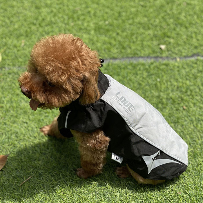 Waterproof Windproof Dog Jacket