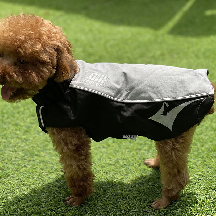 Waterproof Windproof Dog Jacket
