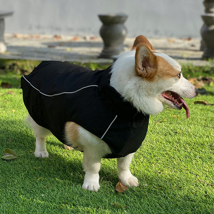 Waterproof Windproof Dog Jacket