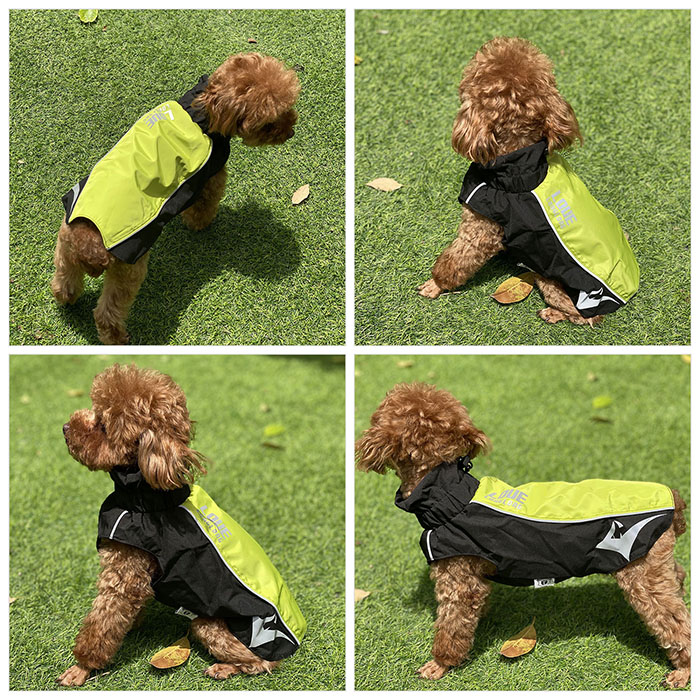 Waterproof Windproof Dog Jacket