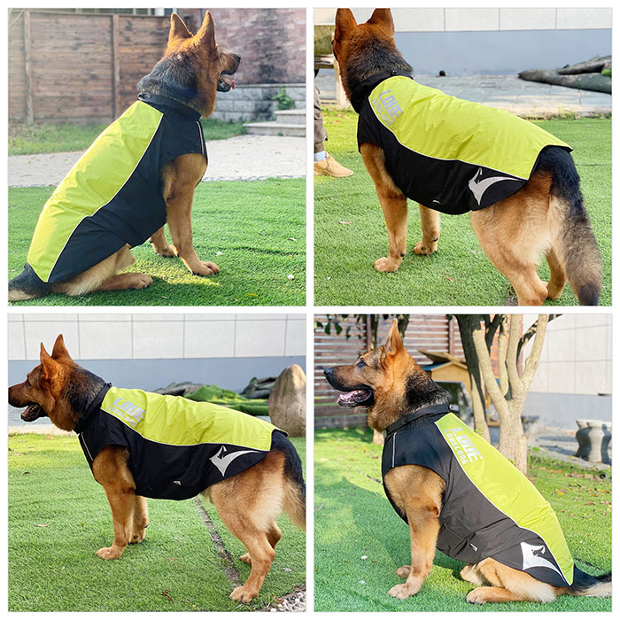 Waterproof Windproof Dog Jacket