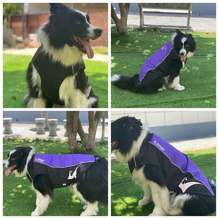 Waterproof Windproof Dog Jacket