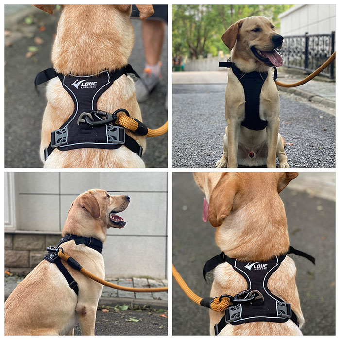 Dog Harness with Safety Reflective Logo