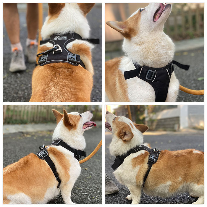 Dog Harness with Safety Reflective Logo