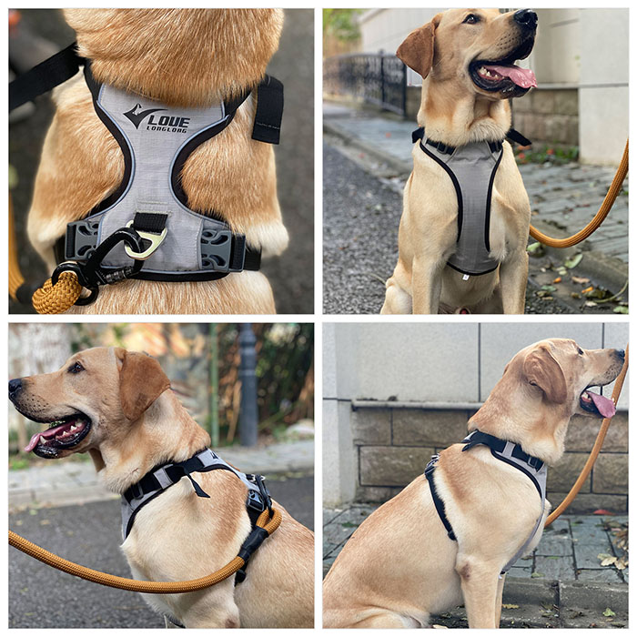Dog Harness with Safety Reflective Logo