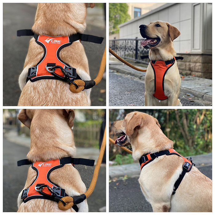 Dog Harness with Safety Reflective Logo