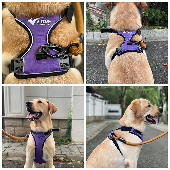 Dog Harness with Safety Reflective Logo