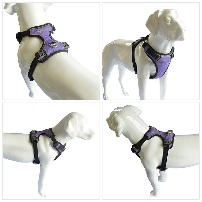 Dog Harness with Safety Reflective Logo