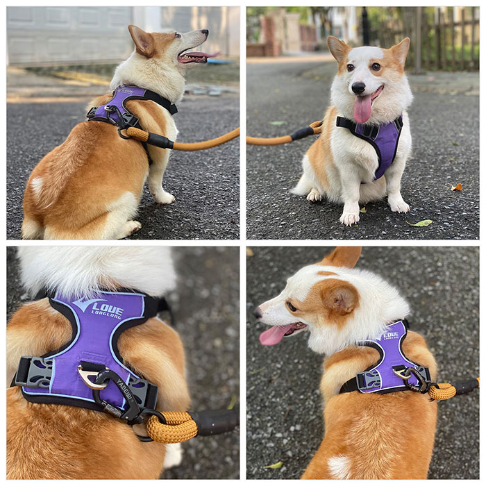 Dog Harness with Safety Reflective Logo