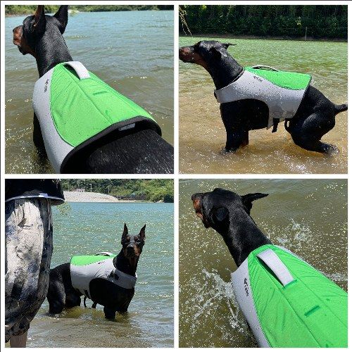 Dog Safety Life Jacket