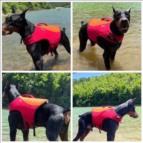 Dog Safety Life Jacket