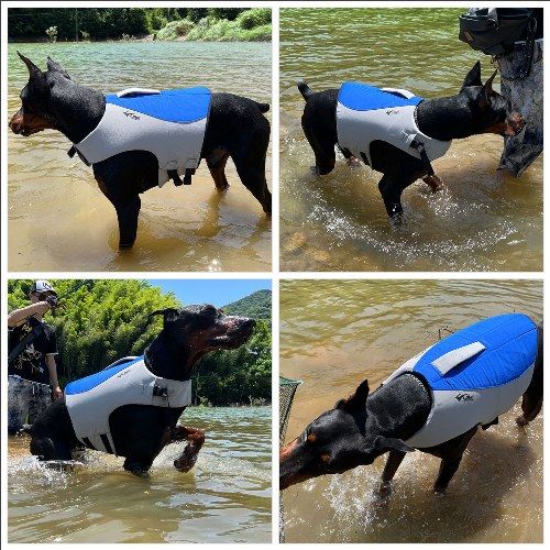 Dog Safety Life Jacket