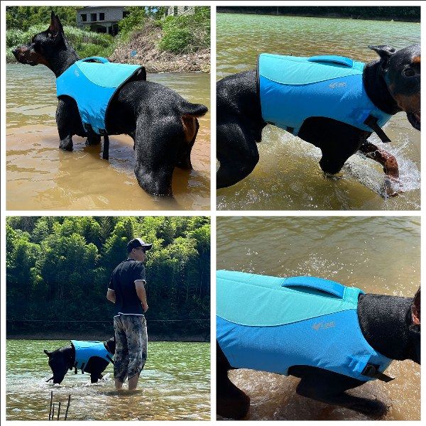 Dog Safety Life Jacket